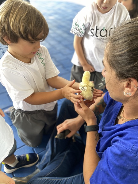 Educação ambiental na prática